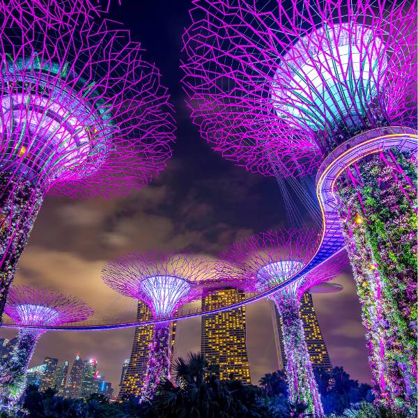 Mom&Me (Explore Singapore - 4N/5D)